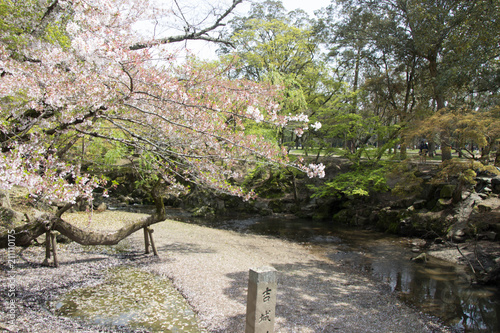 Giappone