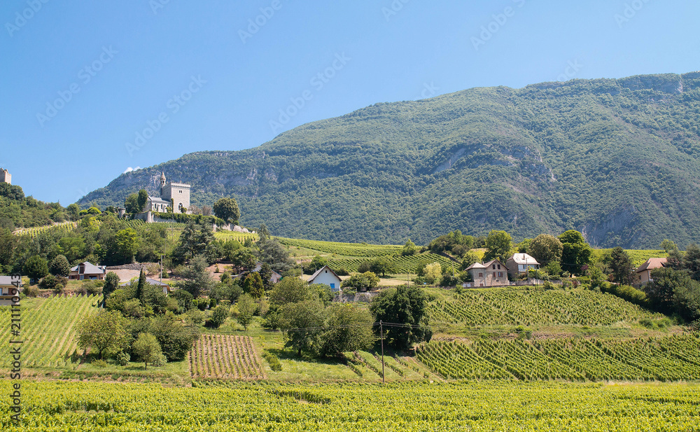 Vignobles de Savoie à Chignin