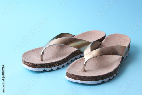 close-up female slippers on a colored background. women's shoes