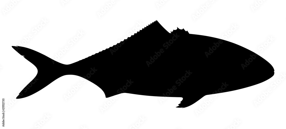 Silhouette of tuna fish on white background. Vector illustration. Silhouette of tuna fish on white background. Vector illustration.