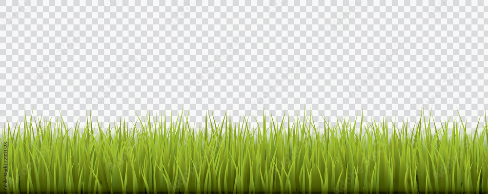 Fresh realistic green grass - vector illustration  - obrazy, fototapety, plakaty 