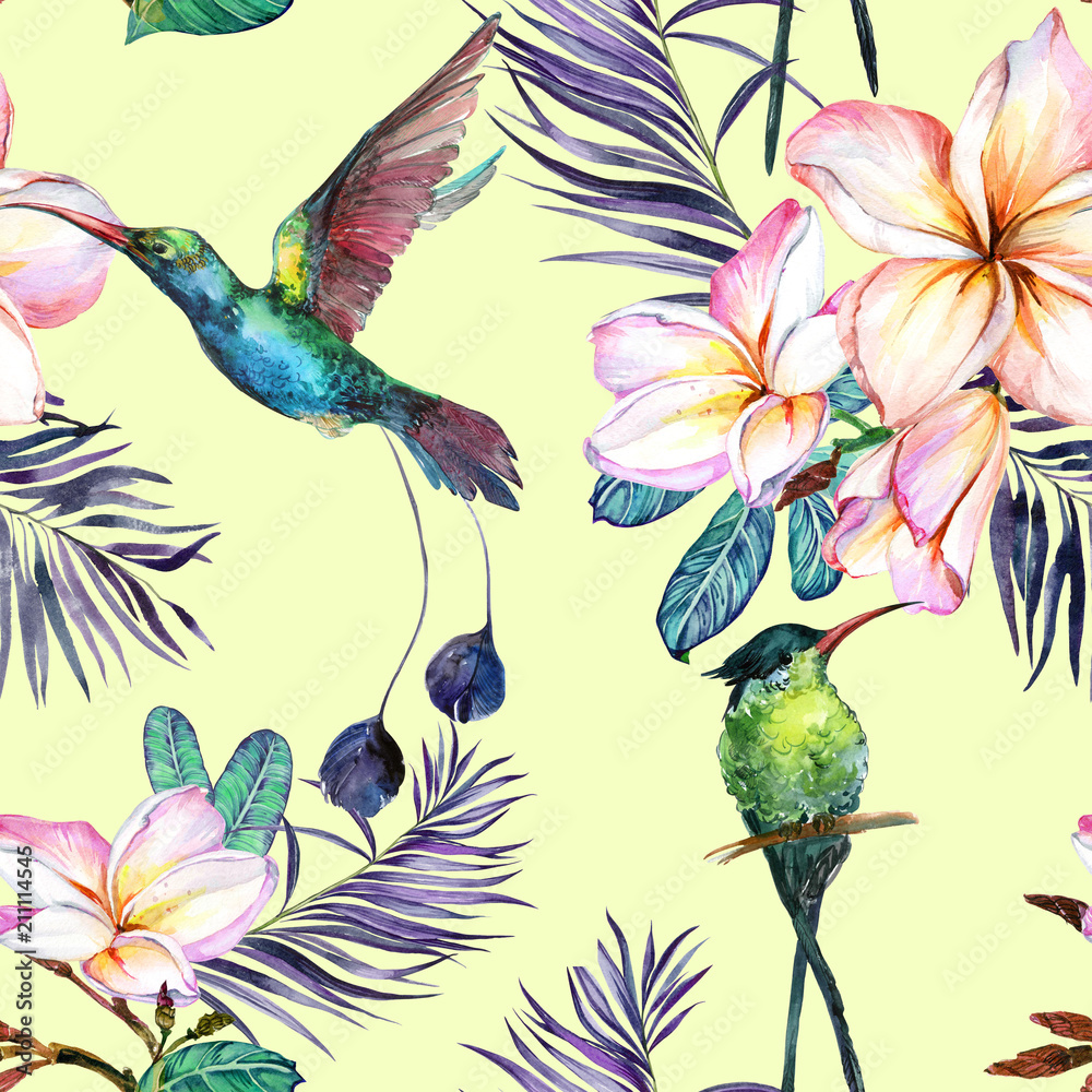 Obraz premium Beautiful colorful colibri and plumeria flowers on light green background. Exotic tropical seamless pattern. Watecolor painting. Hand painted illustration.