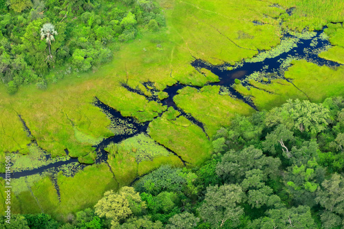 Aerial landscape in Okavango delta, Botswana. Lakes and rivers, view from airplane. Green vegetation in South Africa. Trees with water in rainy season. photo