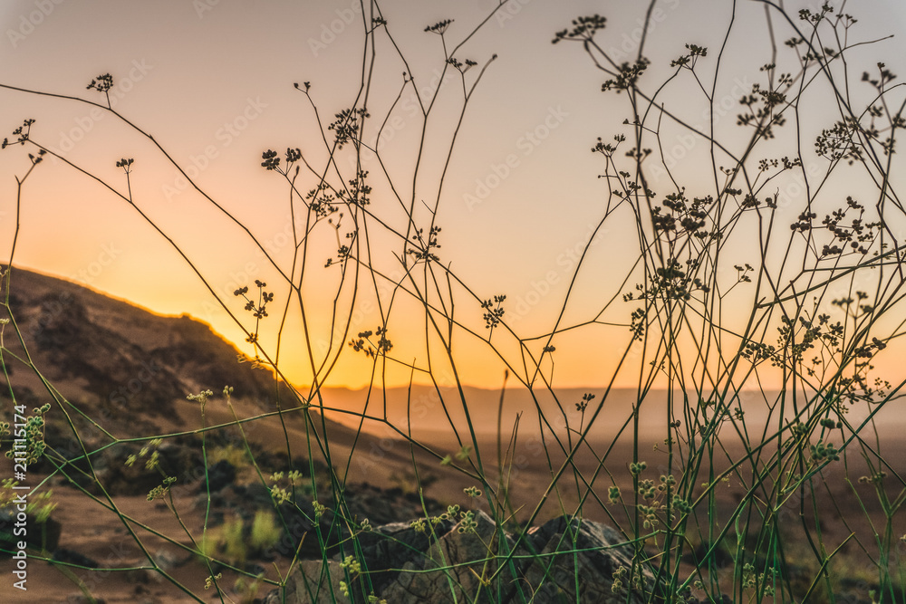 Obraz premium Sunrise in the desert