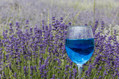 Wineglass in a lavender field