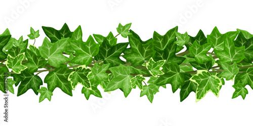 Vector horizontal seamless garland with green ivy leaves on a white background.