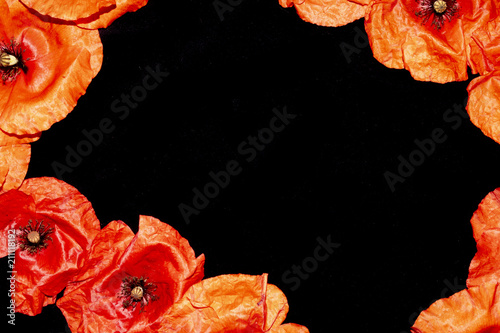 Fototapeta Naklejka Na Ścianę i Meble -  Red Poppies on A Black Background in the Shape of a Border Frame