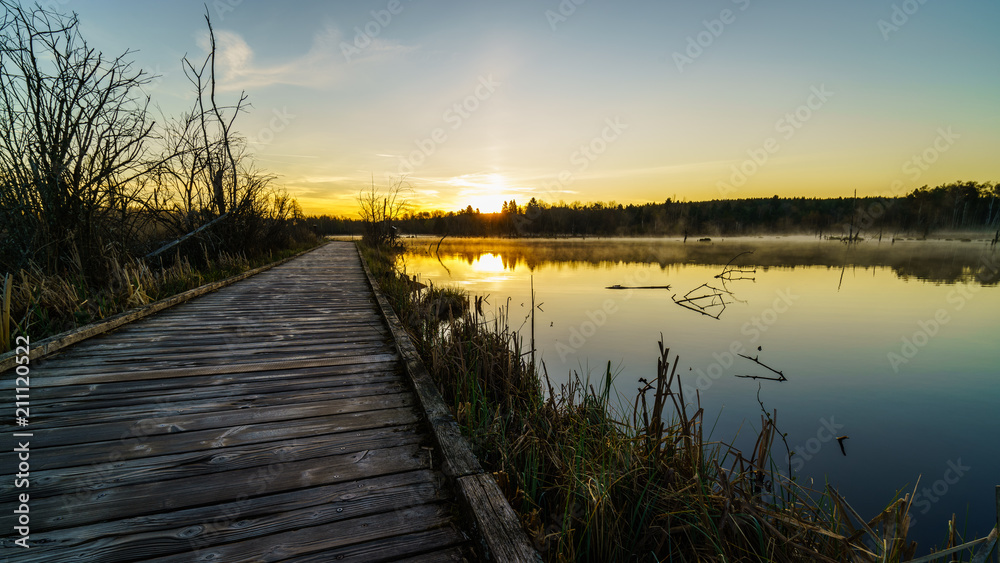 Naklejka premium nature