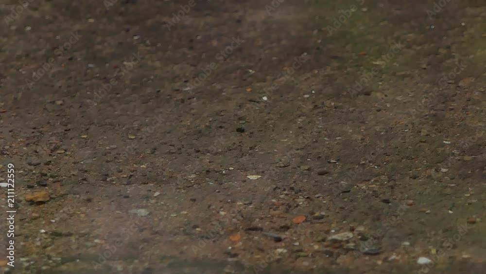 Raindrop on ground in rainy day, nature backgrounds. Raindrop on ground in rainy day, nature backgrounds.