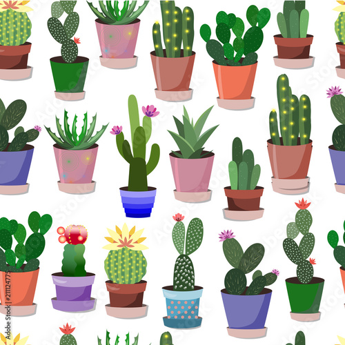 27_kaktusy_pattern