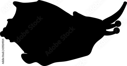 Black silhouette of sea snail Rapana on white background