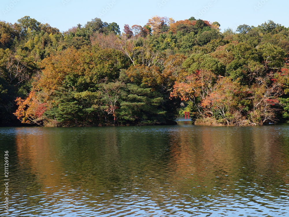 秋の色に染まり始めた湖畔