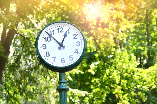 Big clock behind the trees in a park. Time and life concept background.