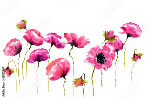 Stylized poppies on white background  floral art  watercolor illustrator  hand painted