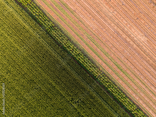 Agricultural landscape, aerial shot of an arable crop field. Arable land is the land under temporary agricultural crops capable of being ploughed and used to grow crops.