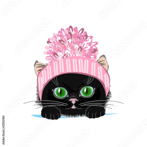 Cute cat in a winter hat with bubo