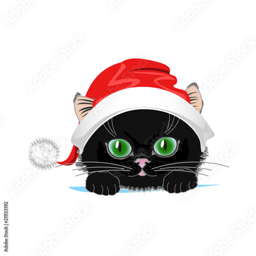 Cute cat in a winter hat with bubo