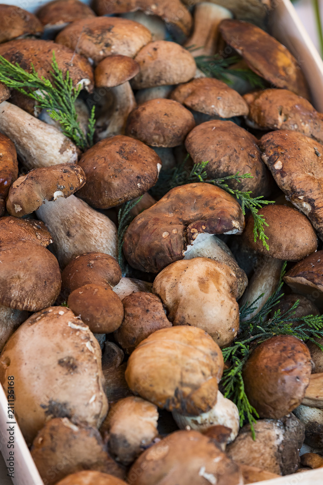 Background of mushrooms on the market in Milan in Italy close-up. Background of mushrooms on the market in Milan in Italy close-up.