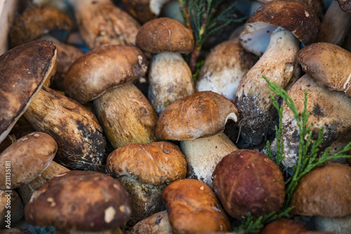Background of mushrooms on the market in Milan in Italy close-up. 