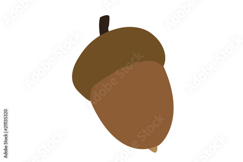 Bellota sobre fondo blanco.