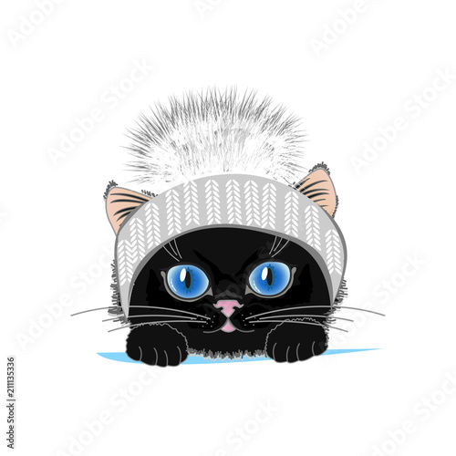 Cute cat in a winter hat with bubo