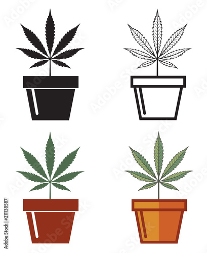 collection of marijuana or cannabis leaf in pot isolated on white background