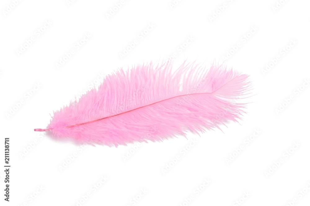 fluffy feather in pink color isolated on the white fluffy feather in pink color isolated on the white