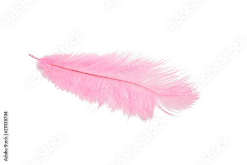 fluffy feather in pink color isolated on the white