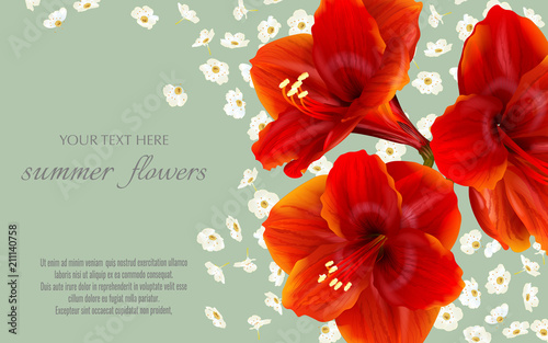 Template for greeting cards, wedding decorations, sales. Vector banner with Luxurious bright red Hippeastrum flowers. Spring or summer design.