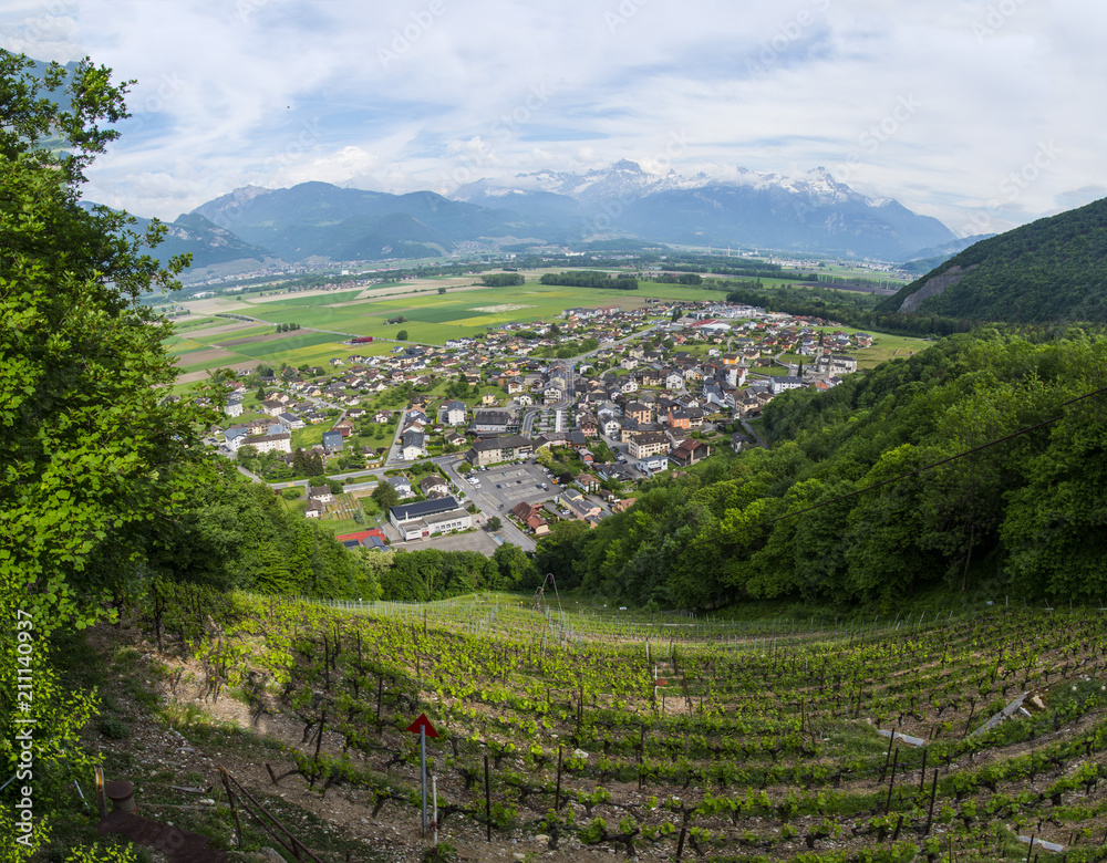 An Aerial Panorama of the charming Swiss town of Vionaaz elegantly sandwiched between the neat Alpine Vineyards in the foregrounds & the picturesque Swiss Alps.