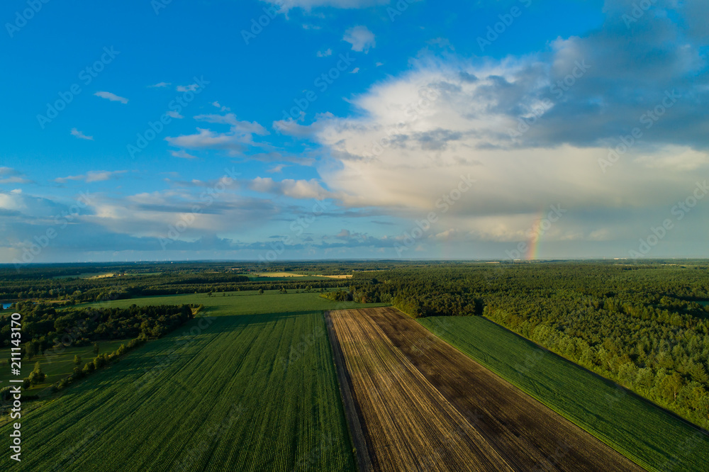 Drohnenflug und Luftaufnahme über einem Maisfeld