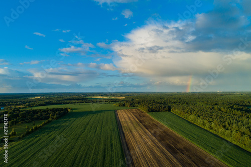 Drohnenflug und Luftaufnahme   ber einem Maisfeld