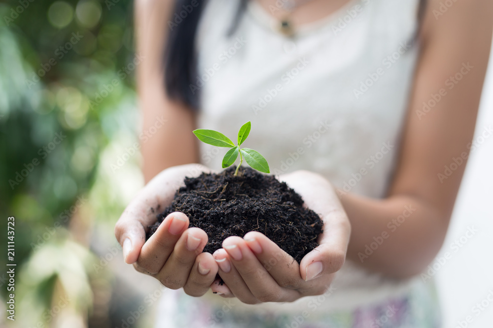 girl hand holding young tree for prepare plant on ground, save world concept. girl hand holding young tree for prepare plant on ground, save world concept.