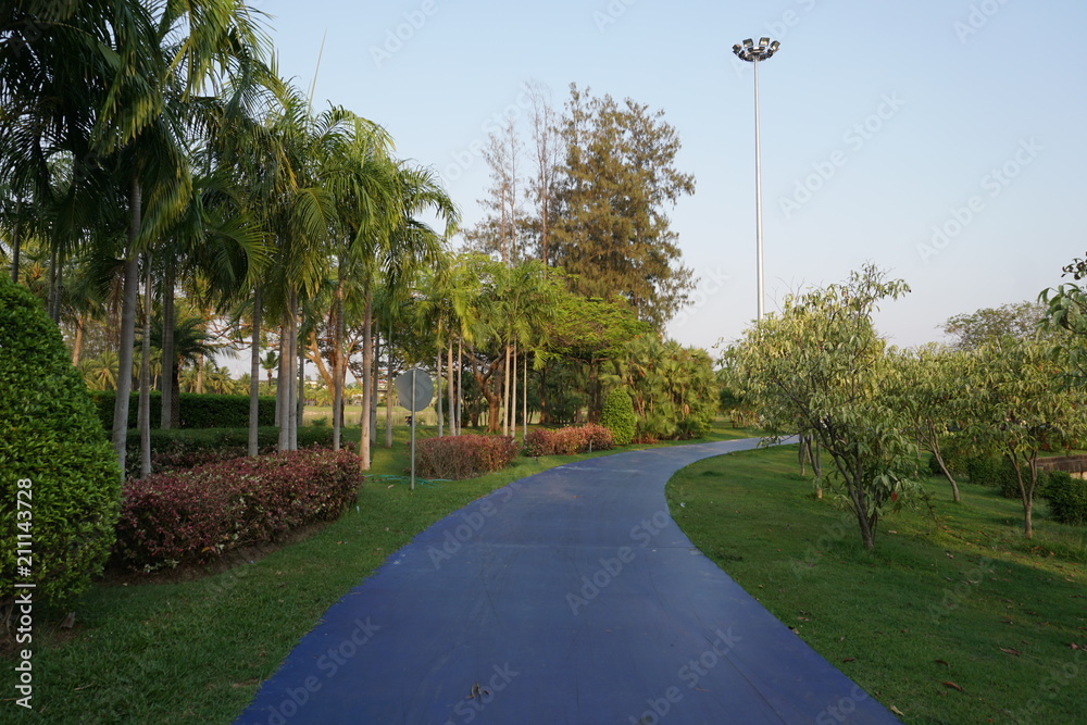 Park Pathway pavement for walk, run and excercise