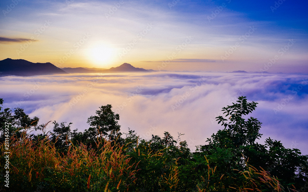 Phu Tok Mountain in Thailand Phu Tok Mountain in Thailand