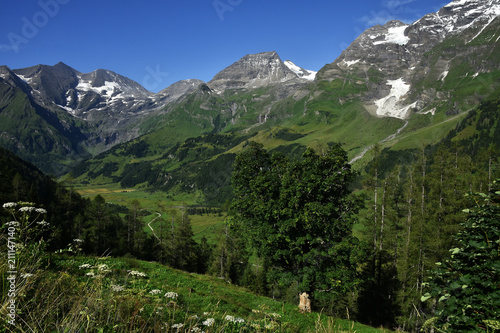 Blick von der Großglockner-Hochalpenstrasse zum Großglocknergebiet photo