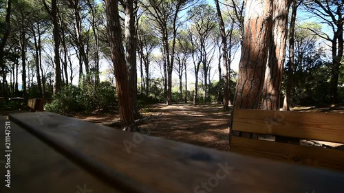 Wooden table and bench in Caprera photo