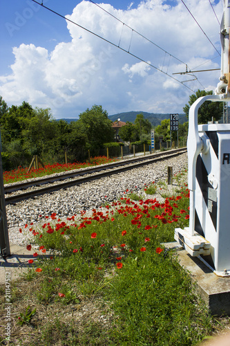 Obraz na plátně level crossing by the thousand summer colors