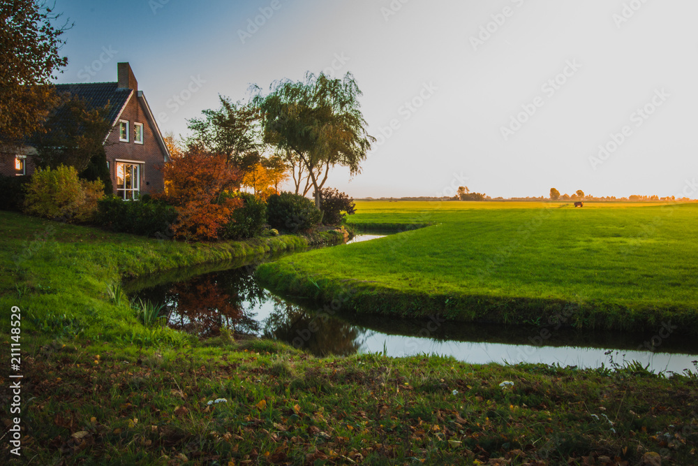 Green  fields of Friesland province, sunshine in evening.