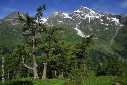 An der Großglockner-Hochalpensstraße, Blick zum Großglocknergebiet photo