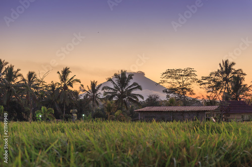 Fantastic sunrise with amazing view on volcano Agung and Jungles with Rice Terraces in Bali. series travels.