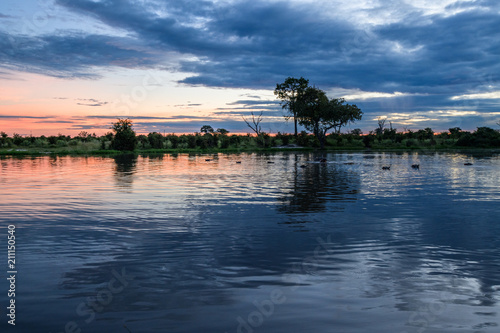 Botswana landscape view of trees and sky ready to rain at Kalahari desert, southern Africa. photo