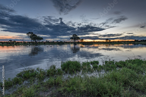 Botswana landscape view of trees and sky ready to rain at Kalahari desert, southern Africa. photo