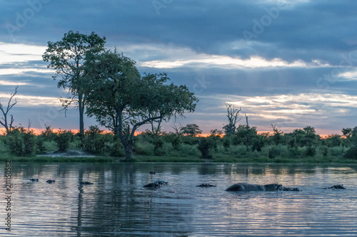 Botswana landscape view of trees and sky ready to rain at Kalahari desert, southern Africa. photo