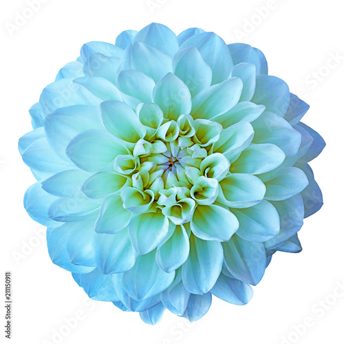 Fototapeta Naklejka Na Ścianę i Meble -  Flower cyan yellow dahlia isolated on white background. Close-up. Element of design.