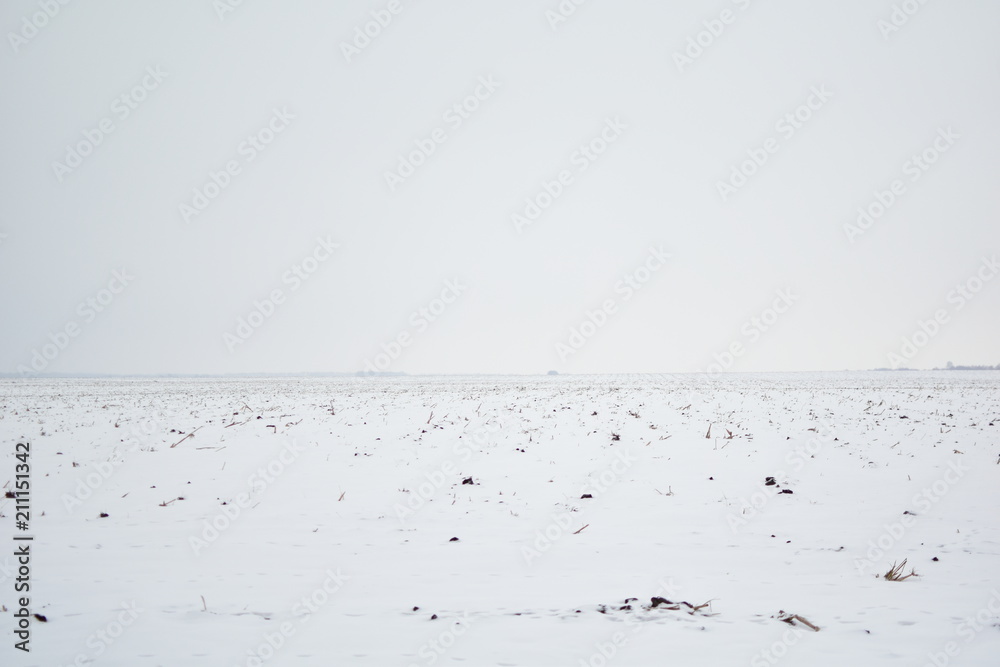 field in winter on a cloudy day field in winter on a cloudy day