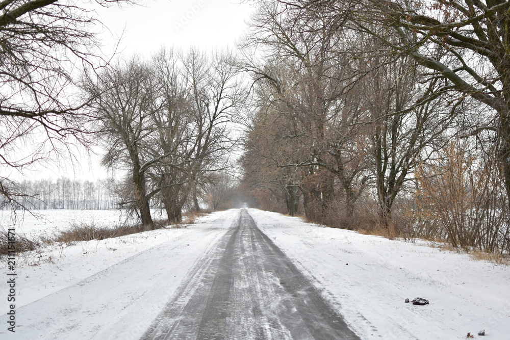 the road in winter on a cloudy day the road in winter on a cloudy day