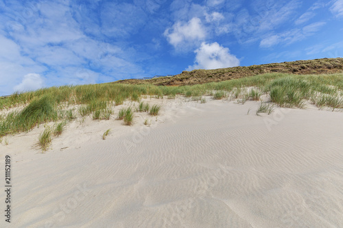 Close-up to Wennnigstedt Grass Dunes and Beach where the wind has straightened the Sand at Sylt   Germany