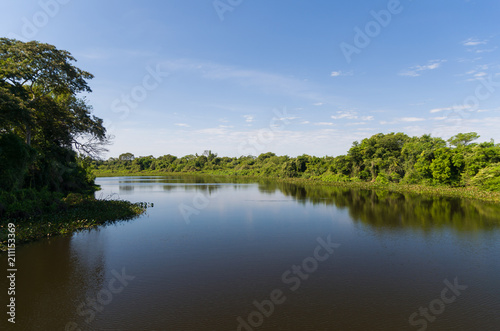 Beautiful image of the Brazilian wetland  region rich in fauna and flora.