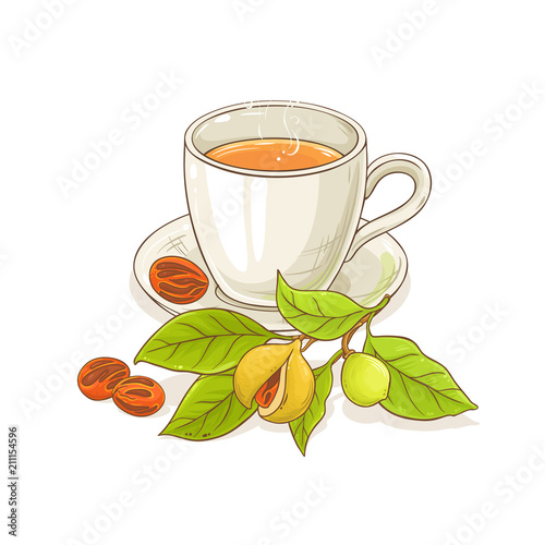 nutmeg tea illustration